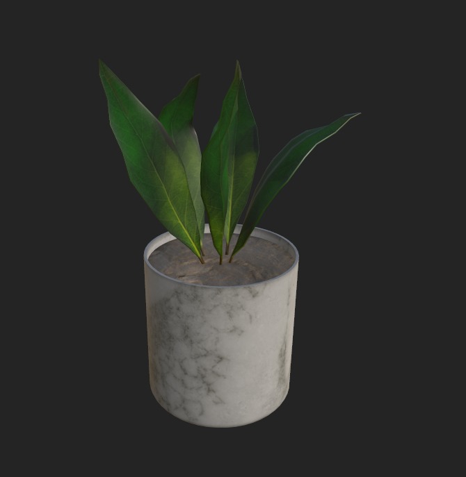 Plant Pot